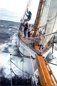 Marine Supplies